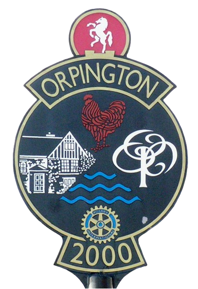 Hello Orpington